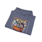 Sarcastic Ray Of Sunshine — Hoodie